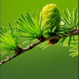 Meet your Posher, Jaden